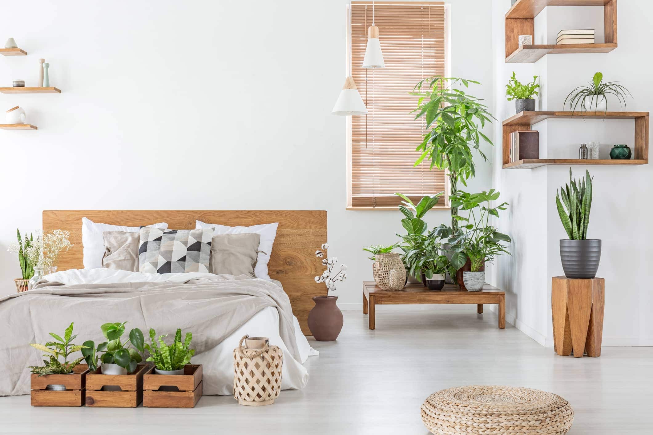 Homeport – Sell or Rent Your Property Privately